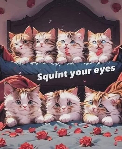 squint.jpg
