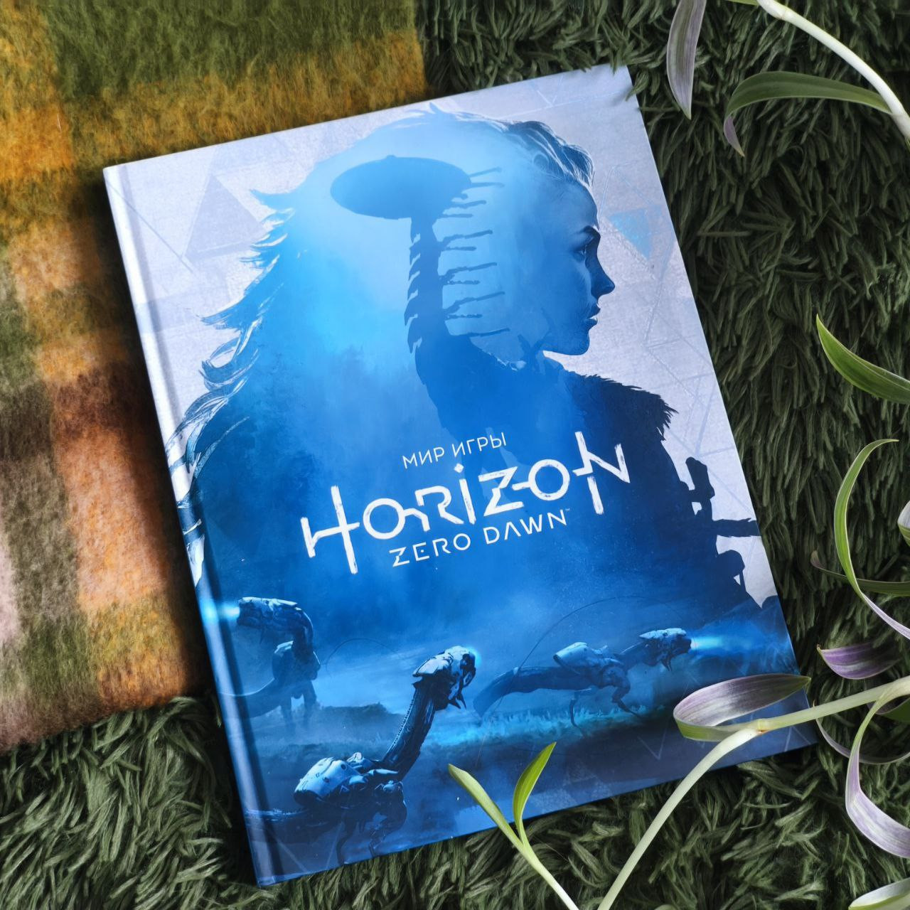 Книжные сокровища