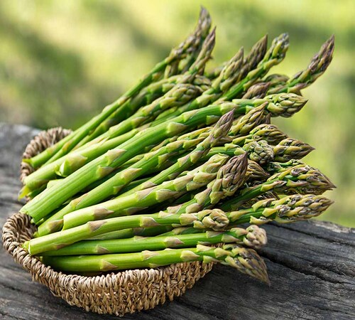 Asparagus1.jpg