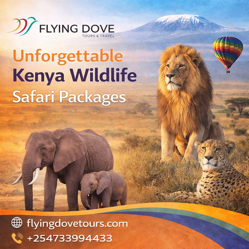 Unforgettable Kenya Wildlife Safari Packages.png