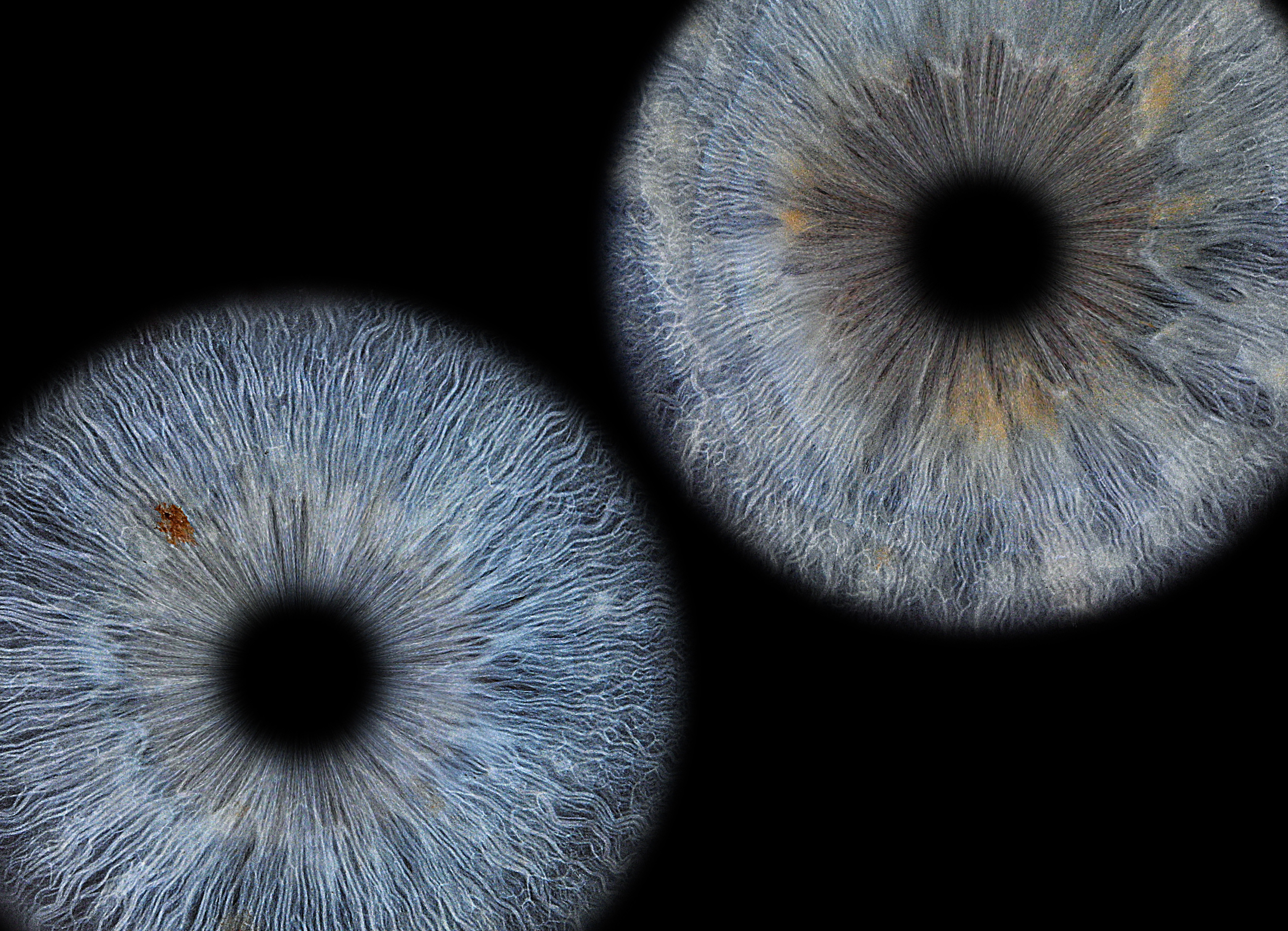 Радужная магия макро