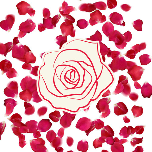 Picsart 26 04 15 09 59 02 963.jpg