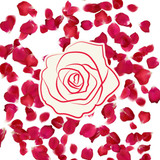 Picsart 26 04 15 09 59 02 963