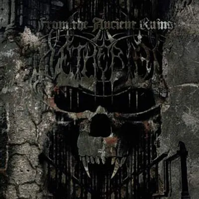 Cover From the Ancient Ruins