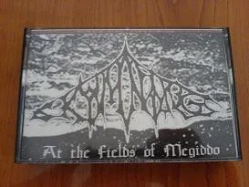 Cover At the Fields of Megiddo