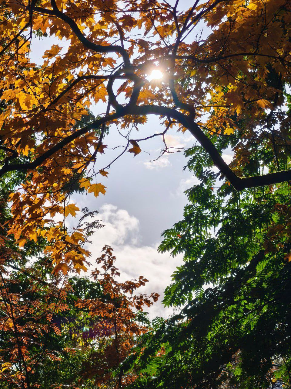 Ботанический сад