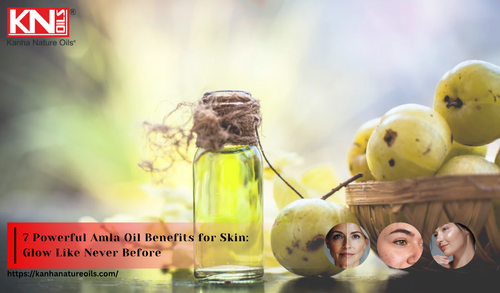 7 Powerful Amla Oil Benefits for Skin Glow Like Never Before.png