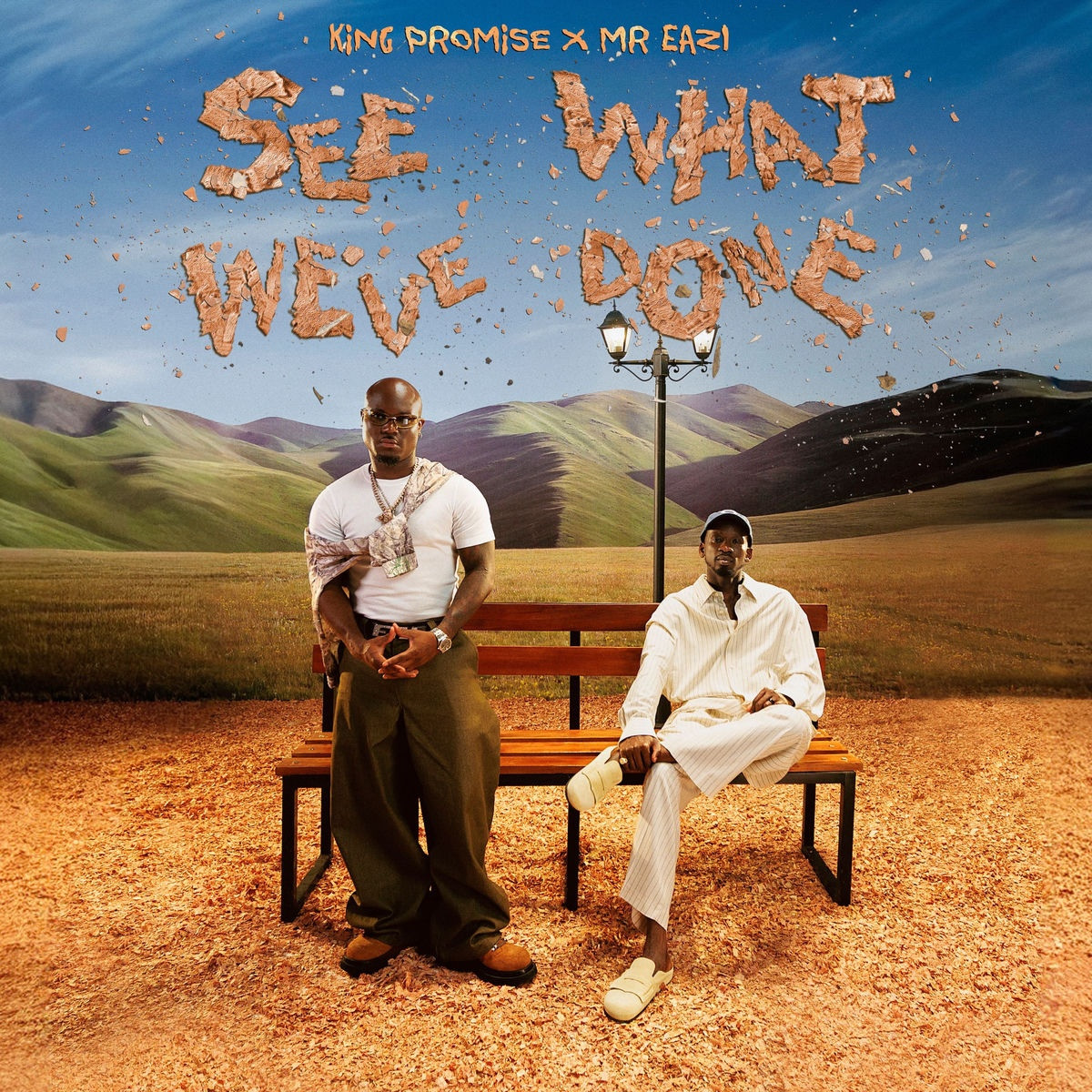 King Promise,Mr Eazi - See What Weve Done (Album) 2026