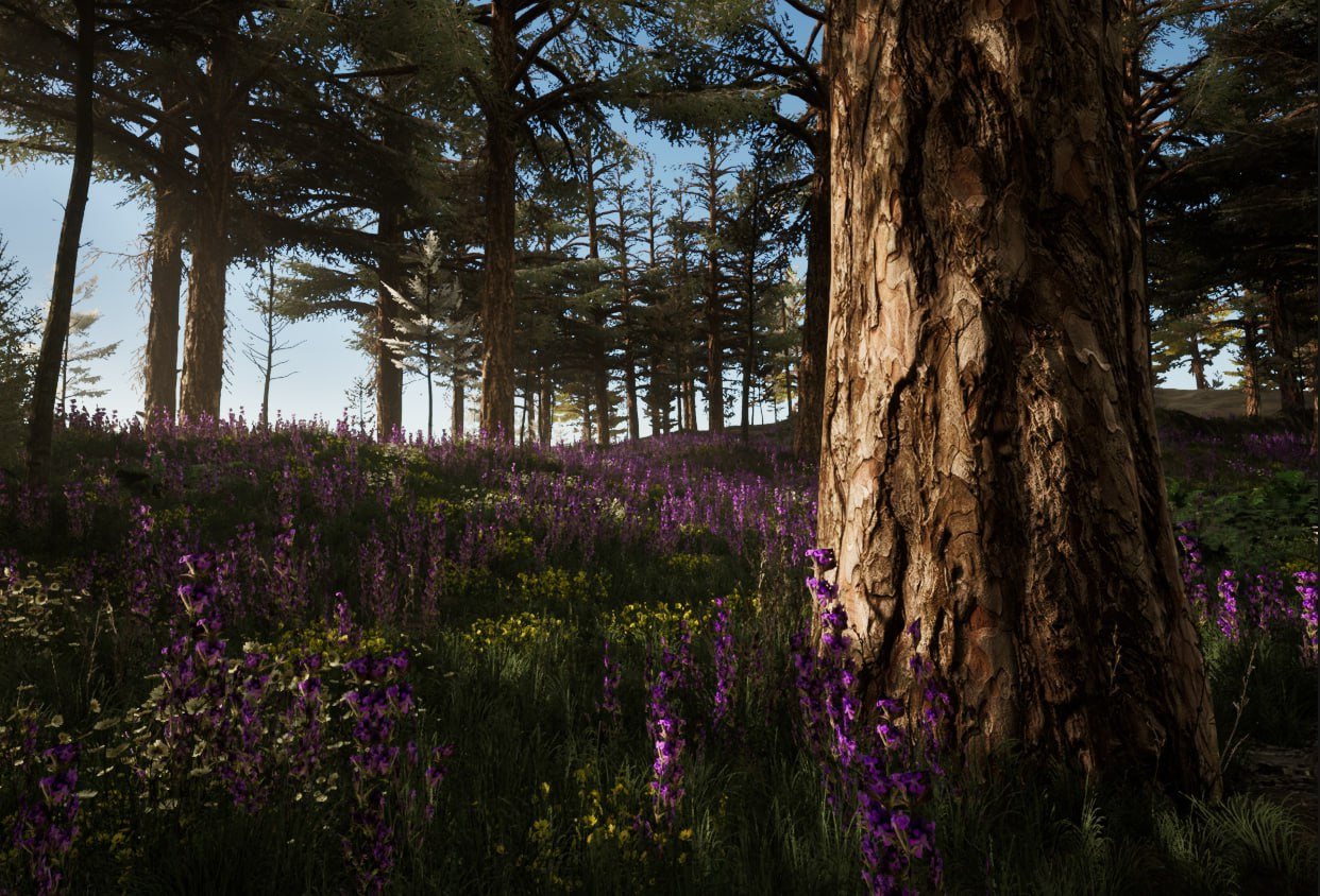 Любовь к ремеслу