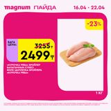 Magnum 1440x1440 1 tov 2026 04 15T094805.225