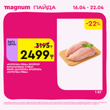 Magnum 1440x1440 1 tov 2026 04 15T094806.181