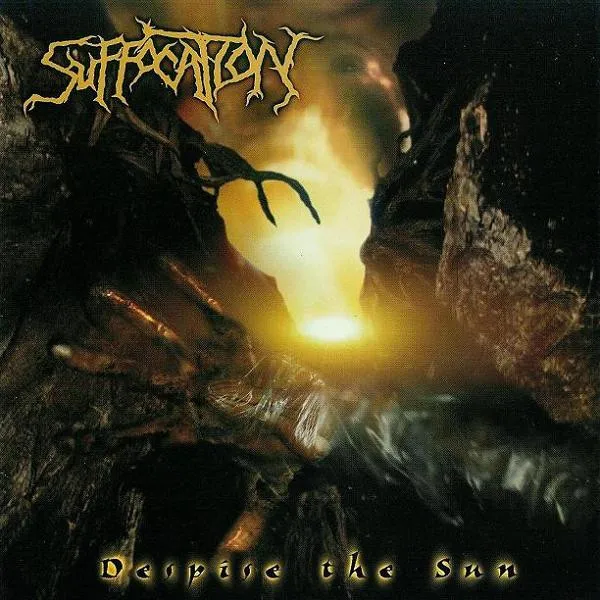 Cover Despise The Sun