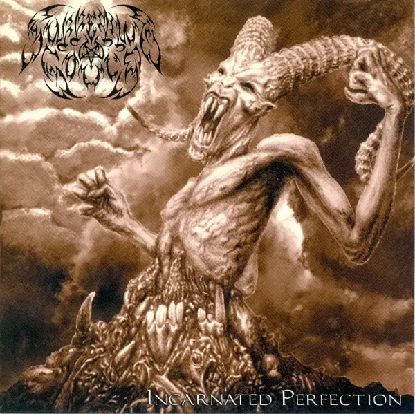 Cover Incarnated Perfection