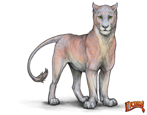 lioden wardrobe (4).png