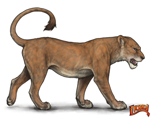 lioden wardrobe (3).png