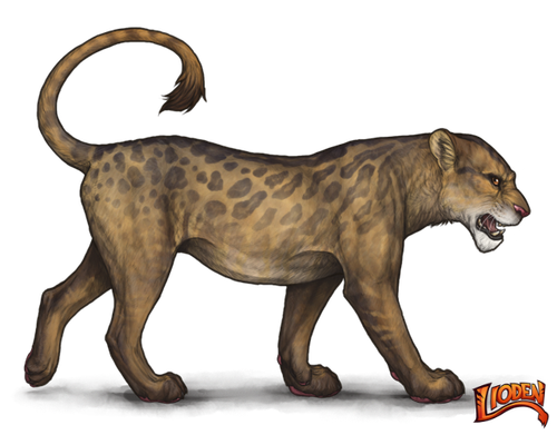 lioden wardrobe (5).png