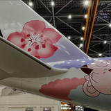 658833226 18126591424604893 2304750134318053669 n