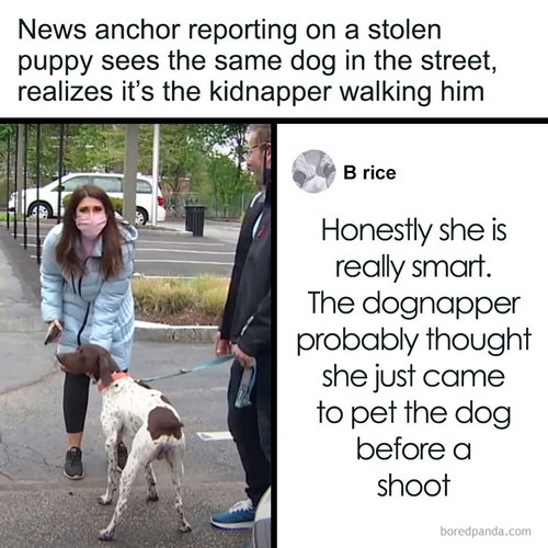 stolen puppy captured dognapper juliana mazza.jpg
