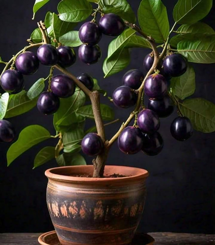 WXi1o0tGoF4yxfSkzH71sBvE uvRTR0bBMYG90Nl8GpTrpBxMuZaBVyKLHKAnBposinwMrE5k5QPXE uaULLC0nkdHJCdCarCsKY.jpg