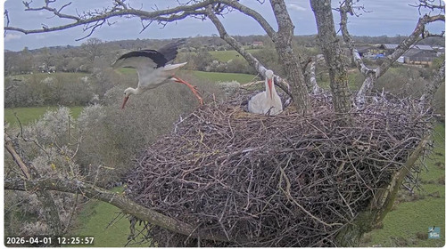 MWSnap128.jpg