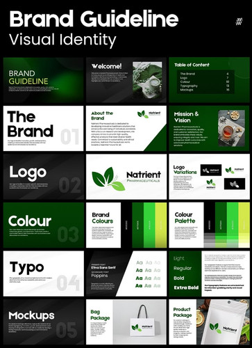 Brand Guideline Visual Identity Natrient Pharmaceuticals.jpg