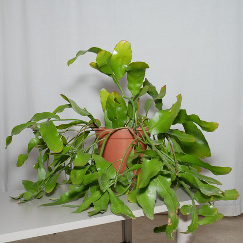 2yhONwelMY6s4ZEOWeAwRuwDF8bTJaqRhtjII7jVYv tmdVjWfGl2jRCdDD5YTdbXRZY dZOspPrUnVU8Wca5rerfYjUh aC5xG6.jpg