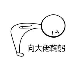 被大佬操作震住后当场鞠躬的表情