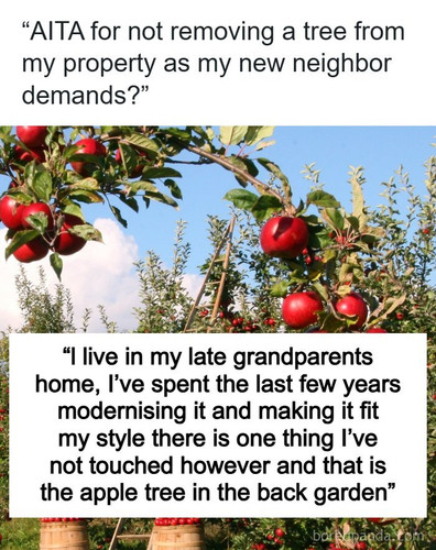 not removing tree aita reddit.jpg