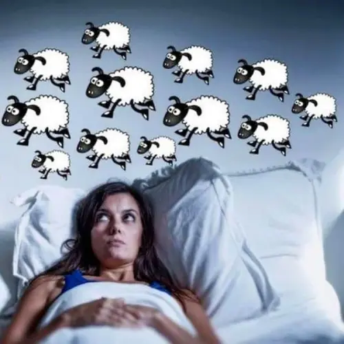 web.archive.org ....inut 1.webp