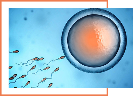 iui.jpg