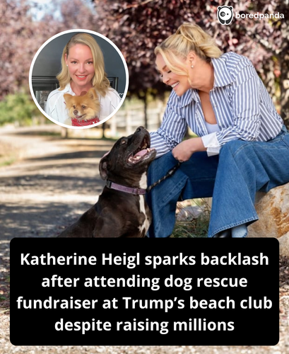 330. Katherine Heigl advocates animals in Trump's club.png
