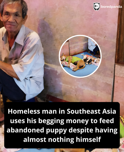 341. Homeless man uses all his begging money to care for an abandoned puppy.png