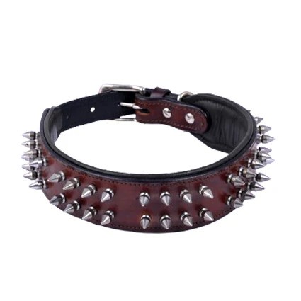 Spike Dog Collars for Bold and Stylish Dogs.jpg