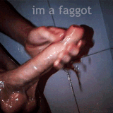 IMG 1484.gif
