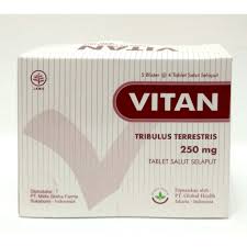 vitan 250 mg2.jpg