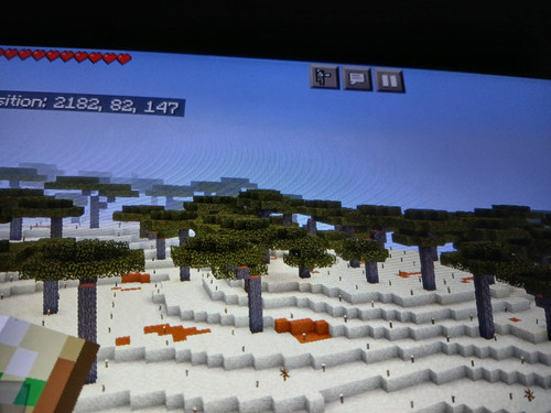 1000011929