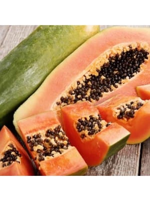 cdf0ff04 2db4 4cd8 b680 32fcf46e576e.jpg