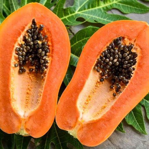 1a64ca91 0b26 4cf5 a98b 2eef991467b2.jpg