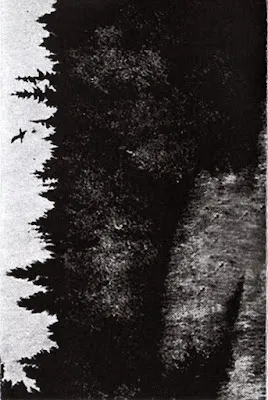 Cover Vandringen I (Skoglandskap)