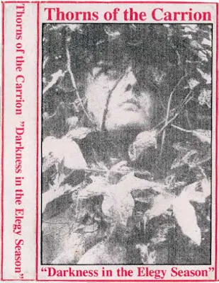 Cover Darkness in the Elegy Season