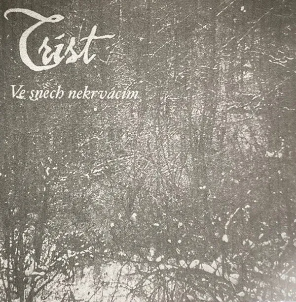 Cover Ve snech nekrvácím