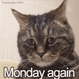 22 09 2025 monday.gif