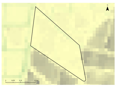 16 6006 4.jpg