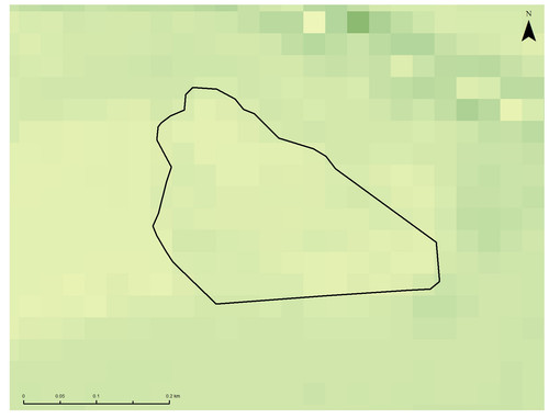 16 6175 0.jpg