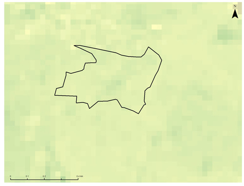 14 8604 3.jpg