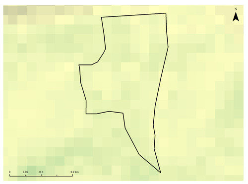 15 13620 1.jpg