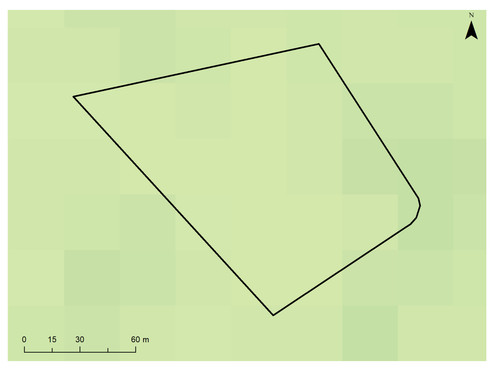 25 3584 8.jpg