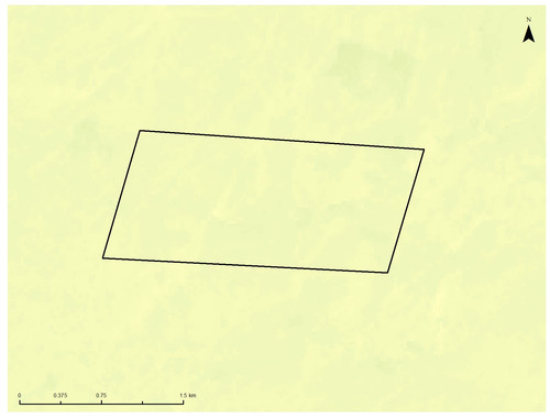 26 4082 4.jpg