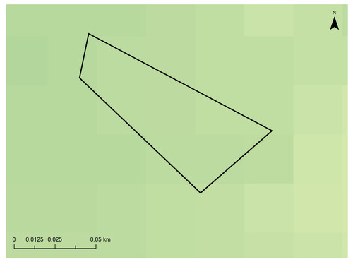 23 5226 9.jpg