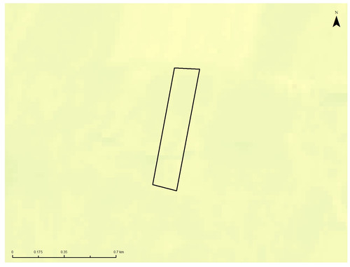 26 4169 9.jpg